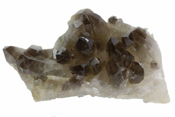 Dark Smoky Quartz Crystal Cluster - Brazil #84825